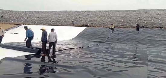 0,5 mm 0,75 mm 1,0 mm 1,5 mm 2,0 mm Branco Preto Verde Azul Suave Texturizado HDPE Geomembrana impermeável para forro de barragem no Quênia Fish Farm Shrimp Pond Liner